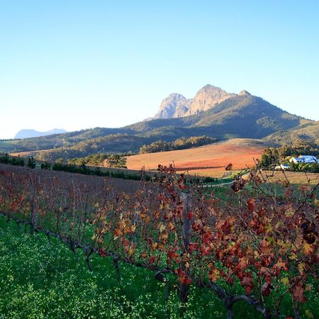 Marianne Wine Estate Bed & Breakfast Stellenbosch Luaran gambar