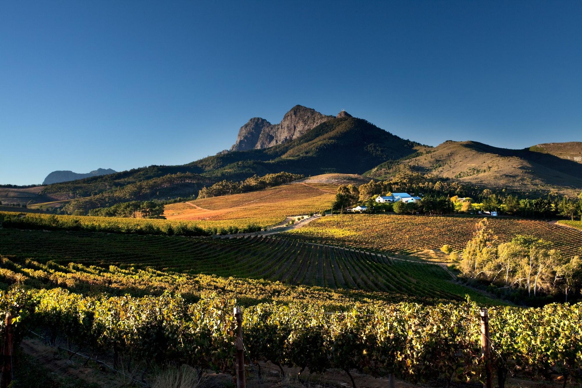Marianne Wine Estate Bed & Breakfast Stellenbosch Luaran gambar