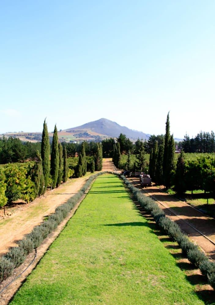 Marianne Wine Estate Bed & Breakfast Stellenbosch Luaran gambar