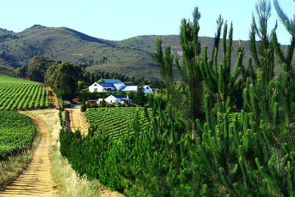 Marianne Wine Estate Bed & Breakfast Stellenbosch Luaran gambar