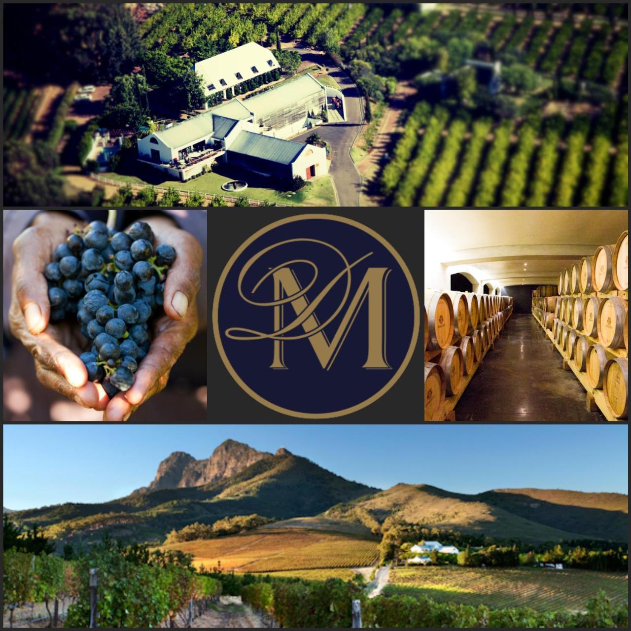 Marianne Wine Estate Bed & Breakfast Stellenbosch Luaran gambar
