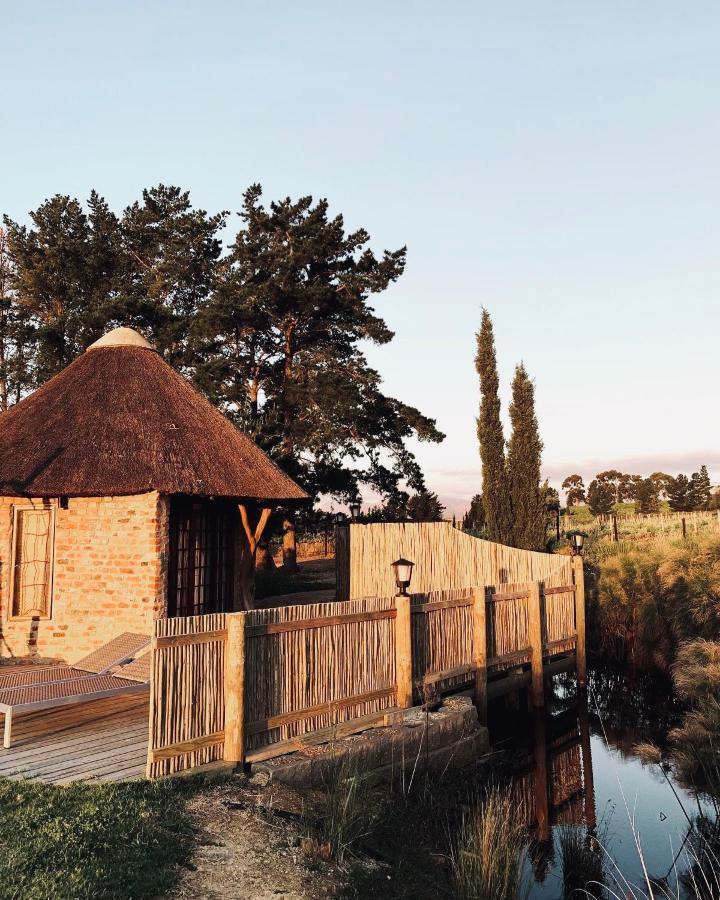 Marianne Wine Estate Bed & Breakfast Stellenbosch Luaran gambar